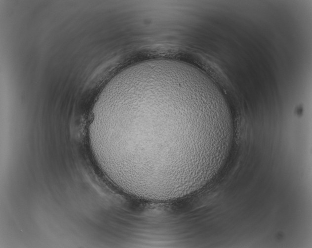 X0000116110077200912071332