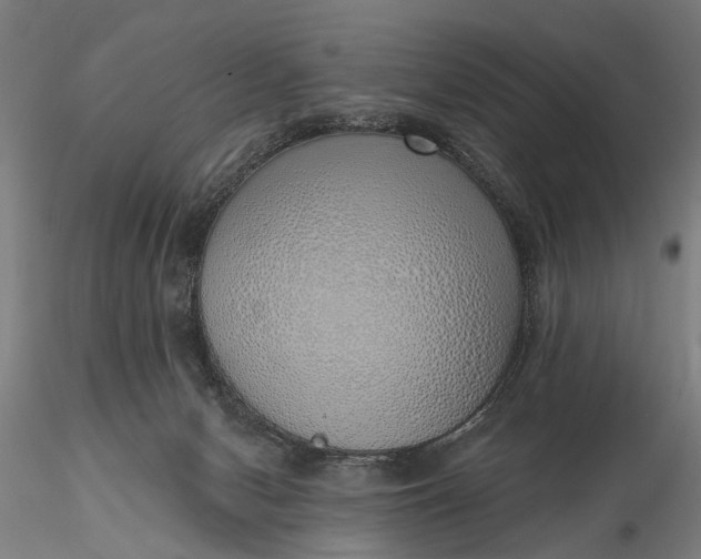 X0000116110078200912071332