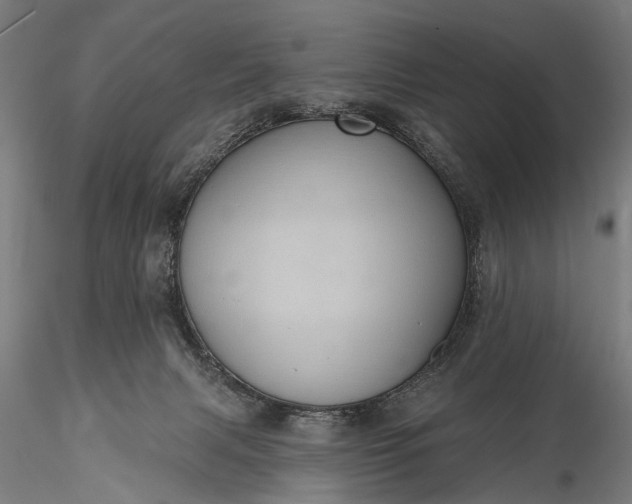 X0000116110079200912071332