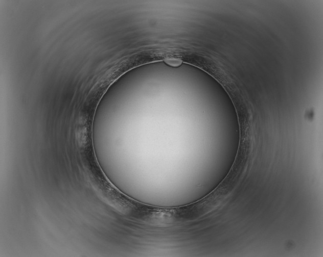 X0000116110080200912071332