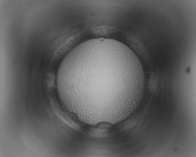 X0000116110081200912071332