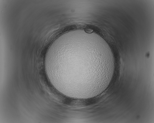 X0000116110082200912071332