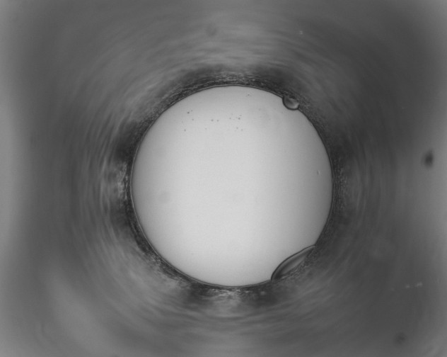 X0000116110083200912071332