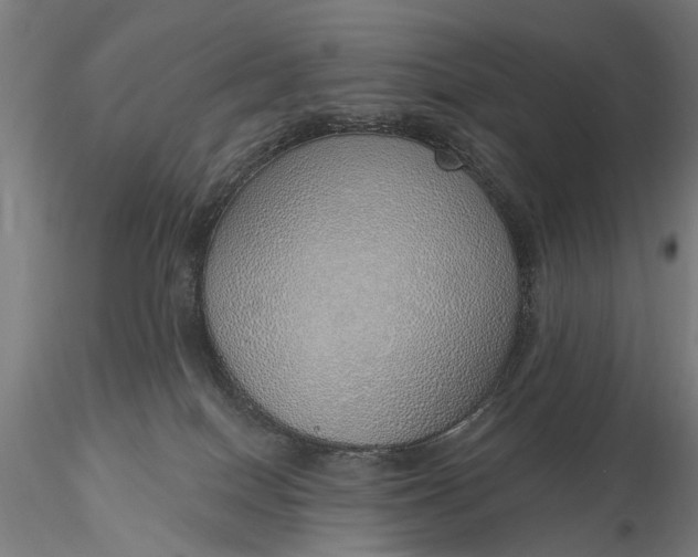 X0000116110086200912071332