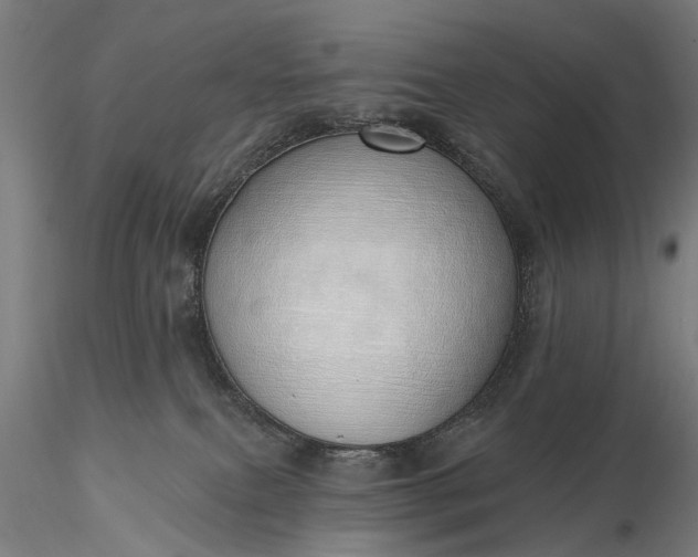 X0000116110087200912071332