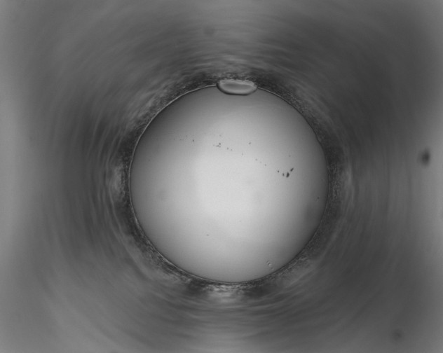 X0000116110088200912071332