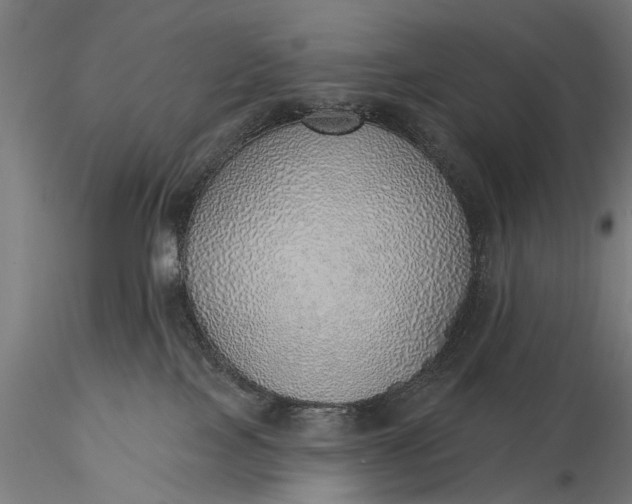 X0000116110089200912071332