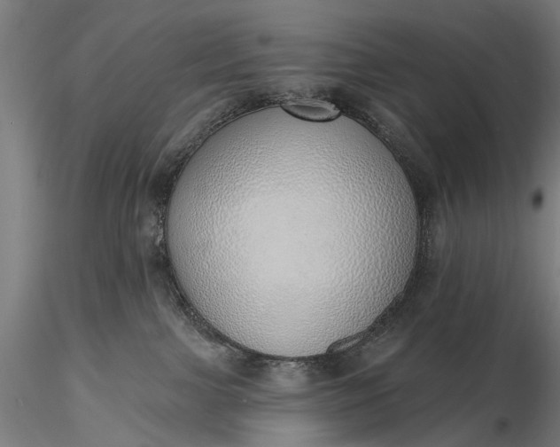 X0000116110091200912071332