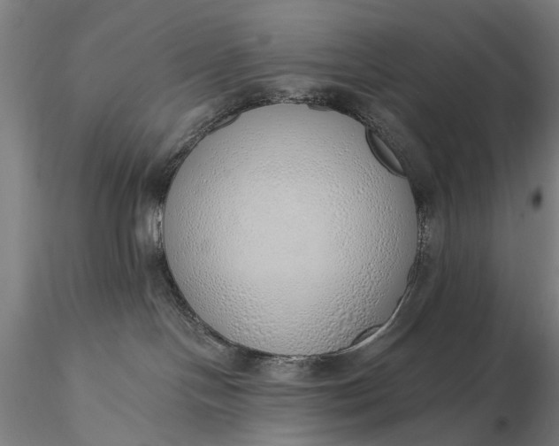 X0000116110094200912071332