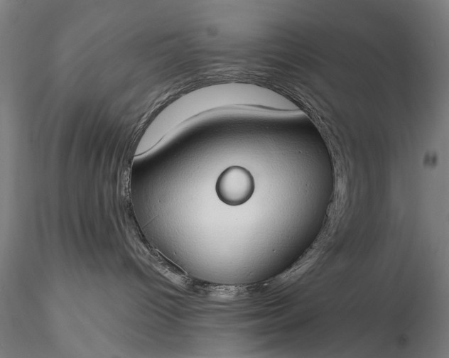 X0000116110096200912071332