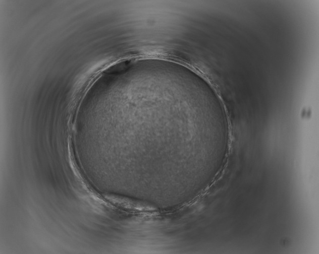 X0000116110097200912071332