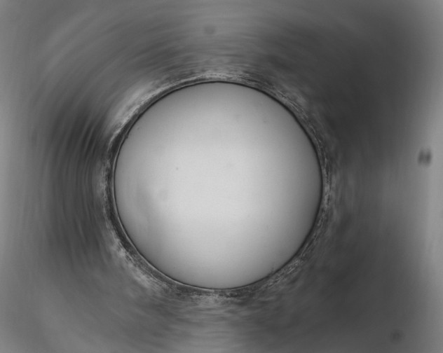 X0000116110098200912071332