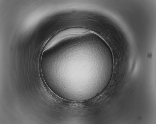 X0000116110099200912071332