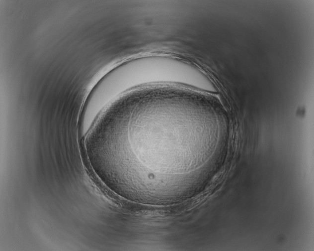 X0000116110100200912071332