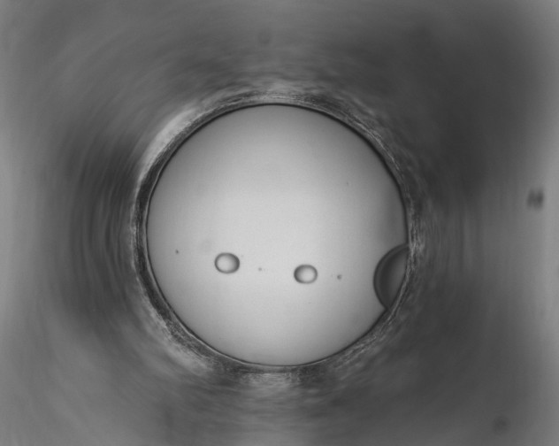 X0000116110102200912071332