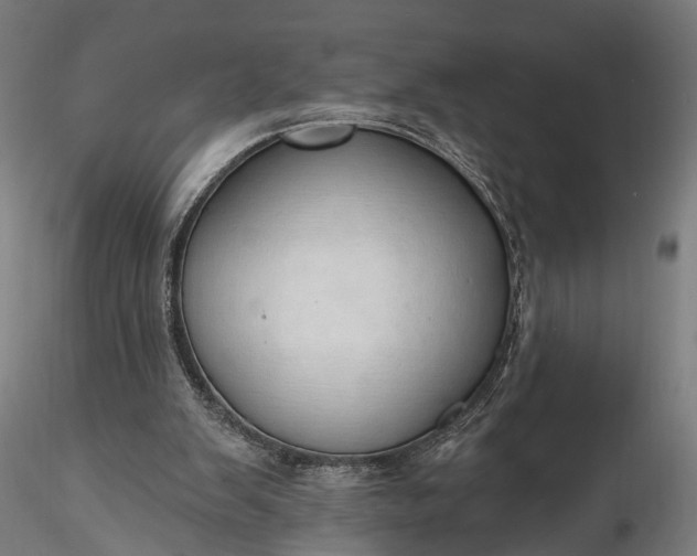 X0000116110103200912071332