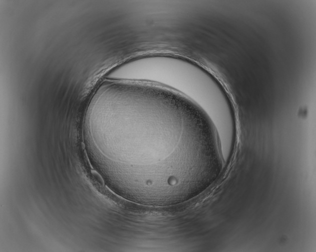 X0000116110105200912071332