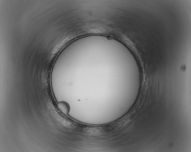 X0000116110106200912071332