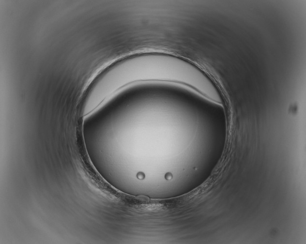 X0000116110108200912071332