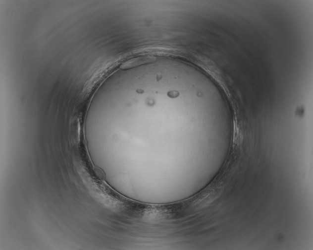 X0000116110109200912071332