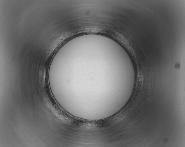 X0000116110110200912071332