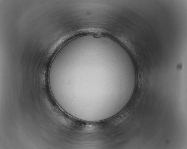 X0000116110111200912071332