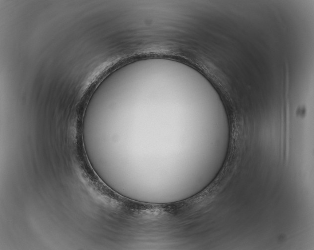 X0000116110112200912071332