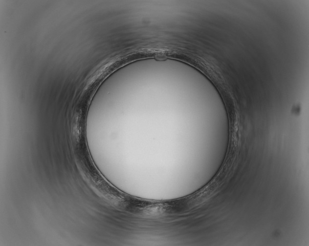 X0000116110116200912071332