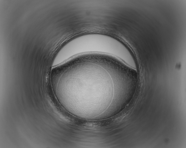 X0000116110117200912071332