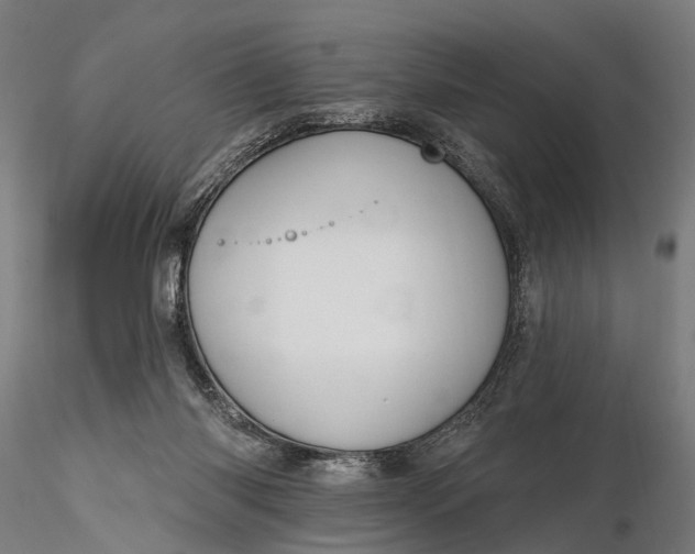 X0000116110118200912071332