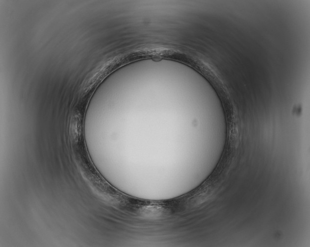 X0000116110119200912071332