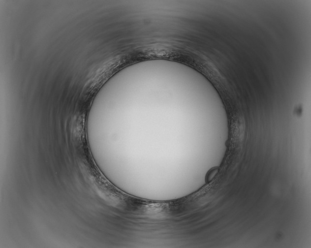 X0000116110126200912071331