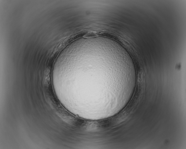 X0000116110127200912071331