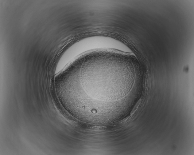 X0000116110128200912071331