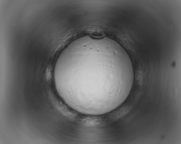 X0000116110131200912071331