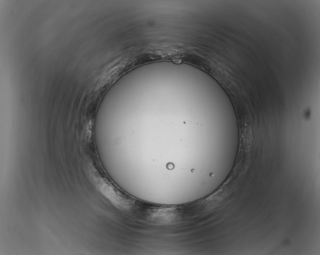 X0000116110132200912071331