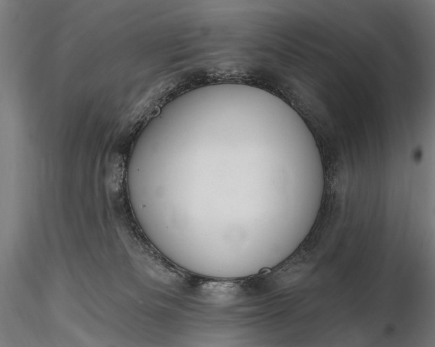 X0000116110133200912071331