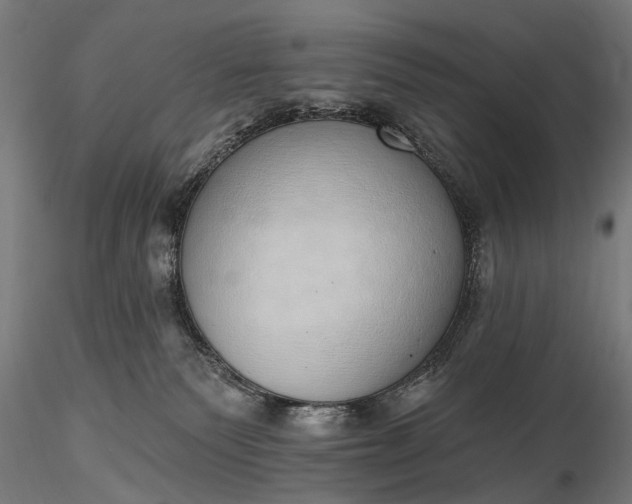 X0000116110135200912071331