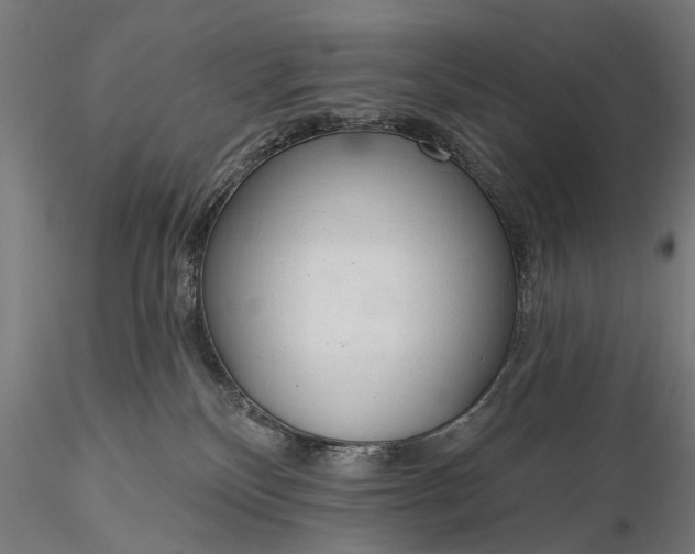 X0000116110136200912071331