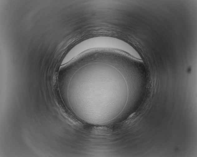 X0000116110137200912071331