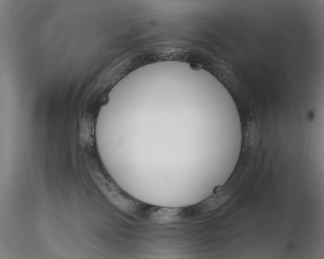 X0000116110138200912071331