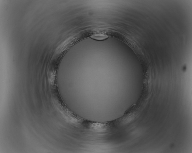 X0000116110139200912071331