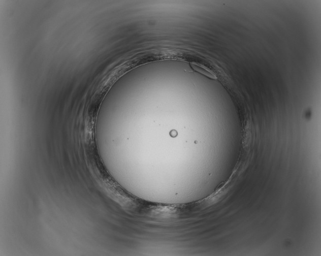 X0000116110140200912071331