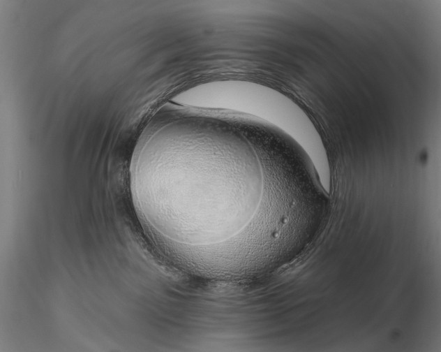 X0000116110141200912071331