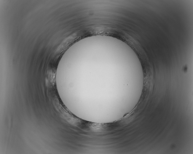 X0000116110142200912071331