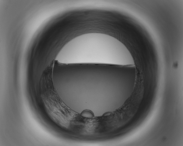 X0000116110143200912071331