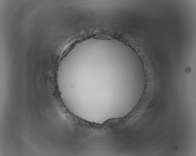 X0000116110144200912071331