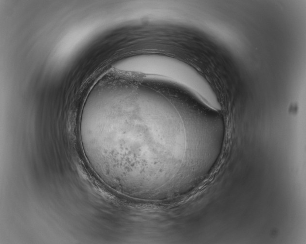 X0000116110146200912071330