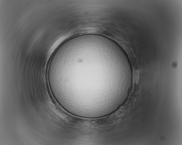 X0000116110147200912071330