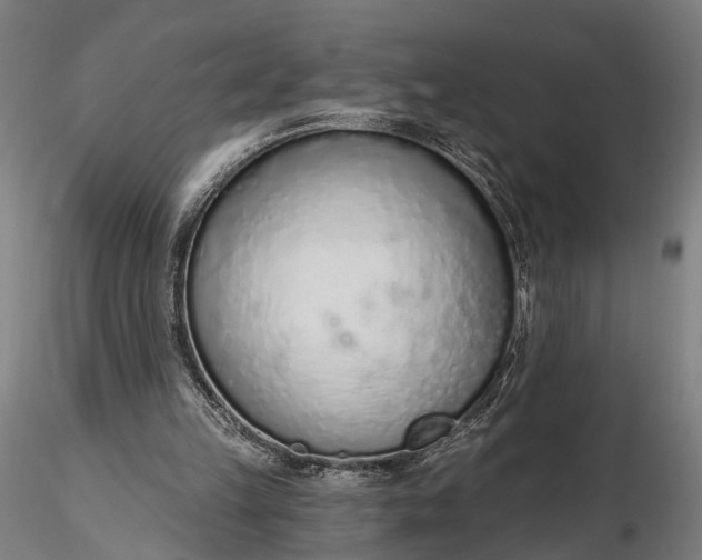 X0000116110149200912071330